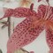 1 Yard Green Pink and White Mercerized Organic Cotton Voile Tropical Flower Fabric